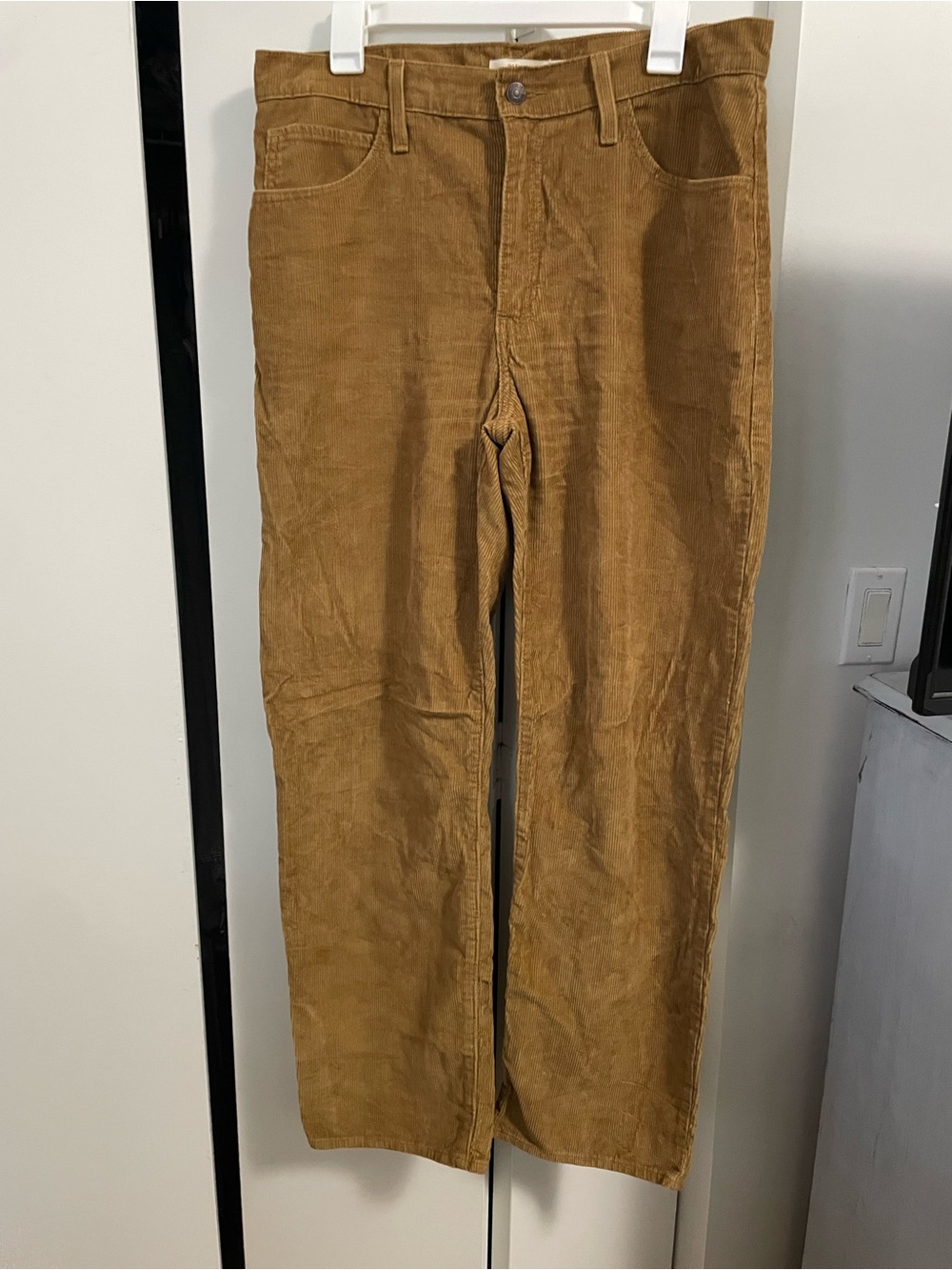 Levi's Wide-Leg Corduroy Pants in Brown